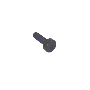 View Sliding Door Track Screw (Lower) Full-Sized Product Image 1 of 2